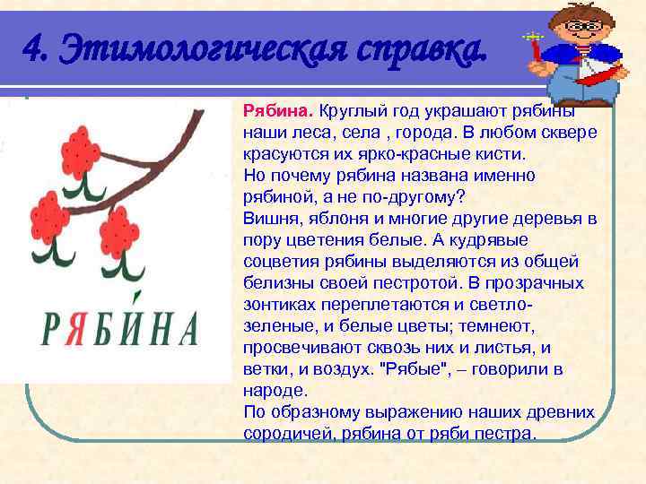 4. Этимологическая справка. Рябина. Круглый год украшают рябины наши леса, села , города. В