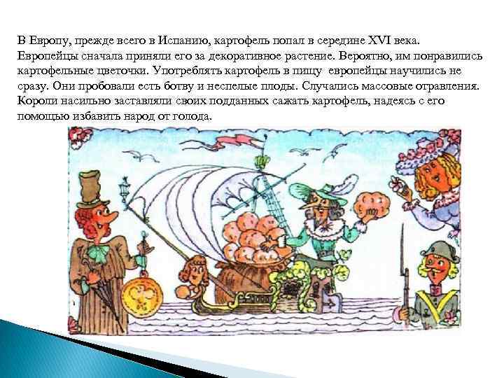 В Европу, прежде всего в Испанию, картофель попал в середине XVI века. Европейцы сначала