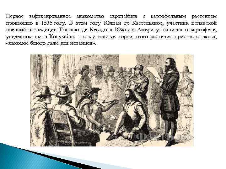 Первое зафиксированное знакомство европейцев с картофельным растением произошло в 1535 году. В этом году