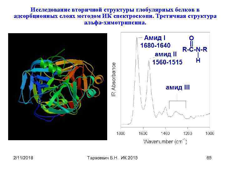 Исследование вторичной структуры глобулярных белков в адсорбционных слоях методом ИК спектроскопи. Третичная структура альфа-химотрипсина.