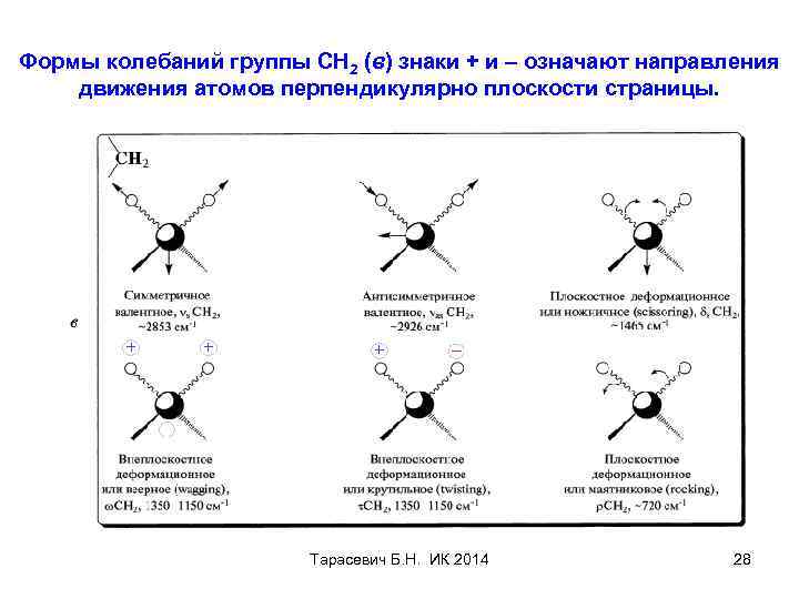 Формы колебаний группы СН 2 (в) знаки + и – означают направления движения атомов