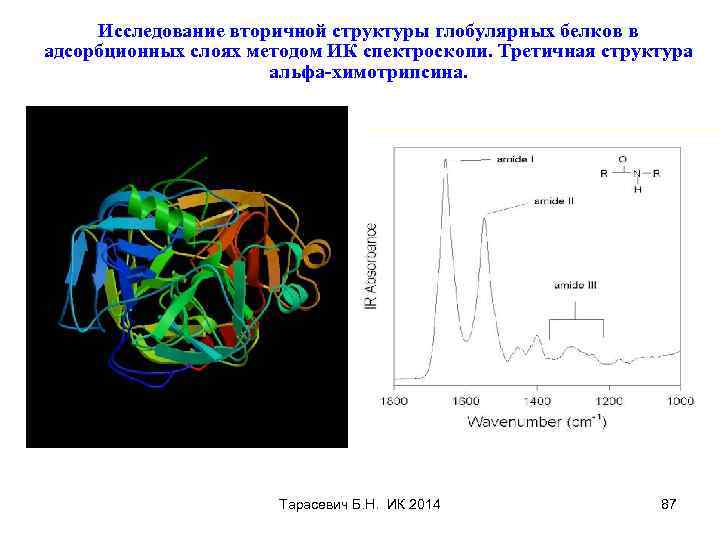 Исследование вторичной структуры глобулярных белков в адсорбционных слоях методом ИК спектроскопи. Третичная структура альфа-химотрипсина.