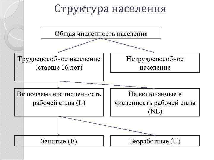 Схема трудоспособное население и нетрудоспособное