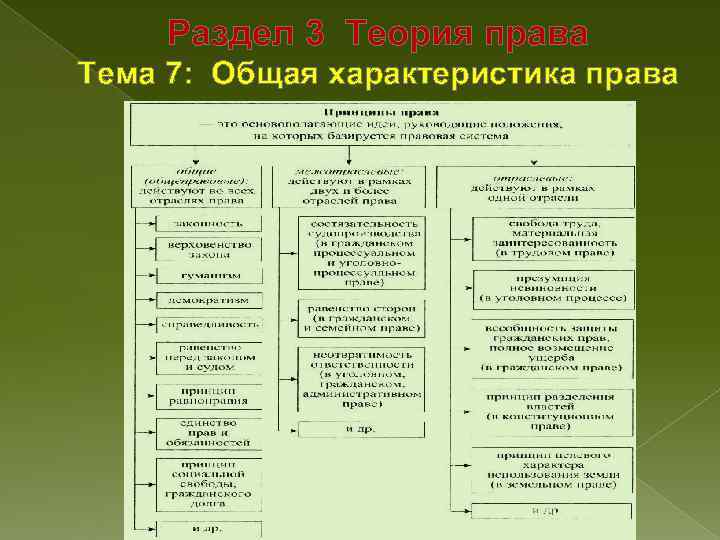 Функция философии права связанная с анализом места права в общей картине бытия