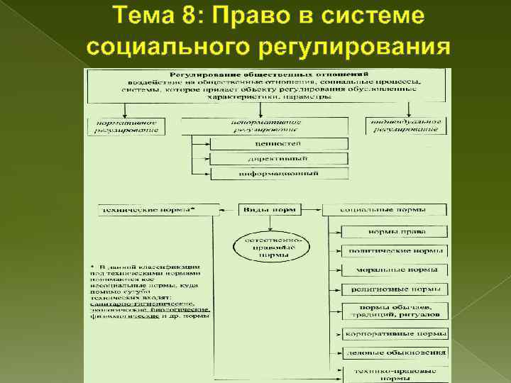 Социальное регулирование