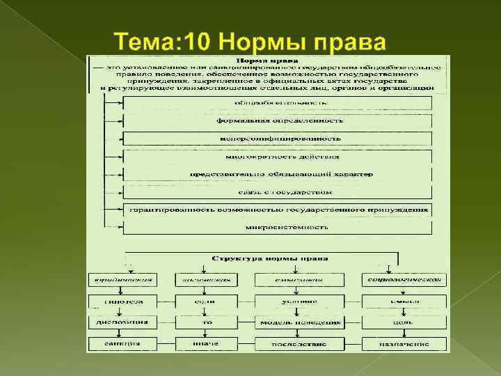 Тема: 10 Нормы права 
