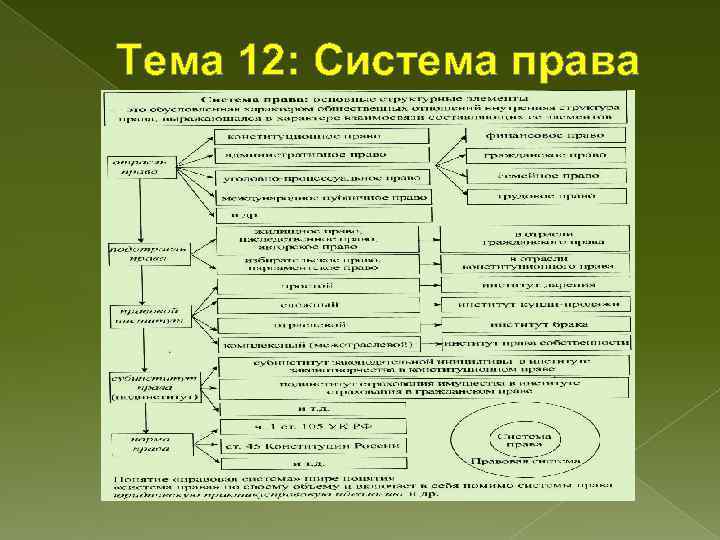 Тема 12: Система права 