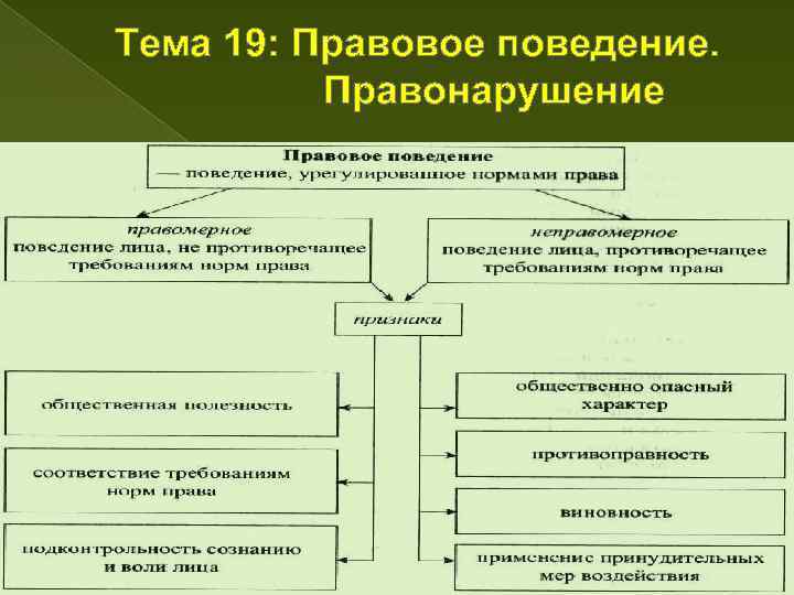 Юридическое поведение