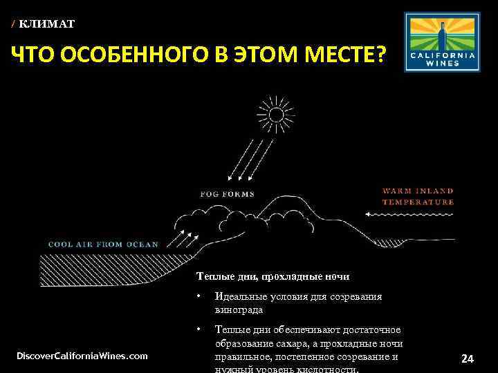 / КЛИМАТ ЧТО ОСОБЕННОГО В ЭТОМ МЕСТЕ? Unparalleled scenic beauty Теплые дни, прохладные ночи