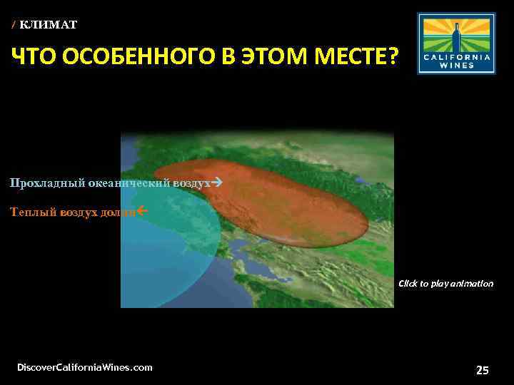 / КЛИМАТ ЧТО ОСОБЕННОГО В ЭТОМ МЕСТЕ? Unparalleled scenic beauty Прохладный океанический воздух Теплый