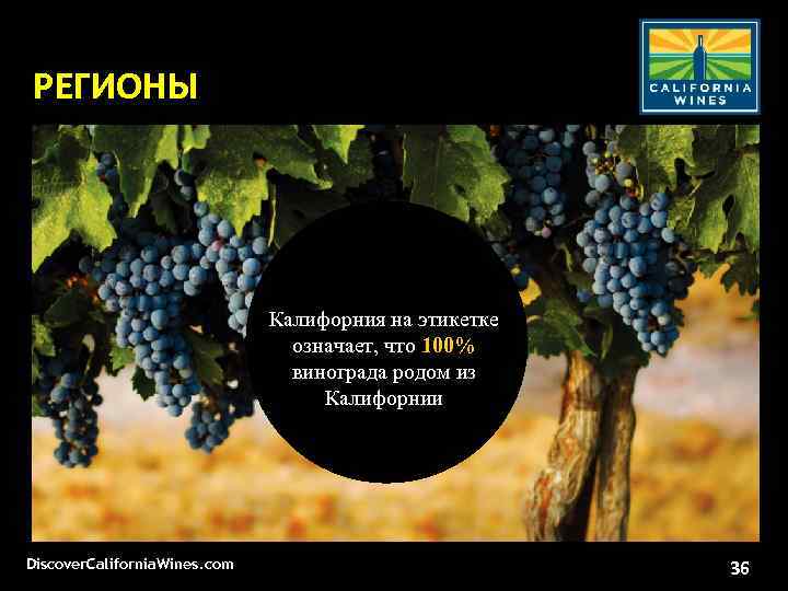 РЕГИОНЫ Калифорния на этикетке означает, что 100% винограда родом из Калифорнии Discover. California. Wines.