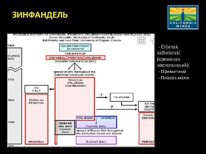 ЗИНФАНДЕЛЬ - Crljenak kaštelanski (креженак коcтеланский) - Примитиво - Плавак мали 