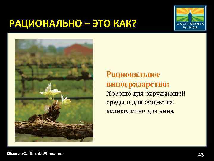 РАЦИОНАЛЬНО – ЭТО КАК? Рациональное виноградарство: Хорошо для окружающей среды и для общества –