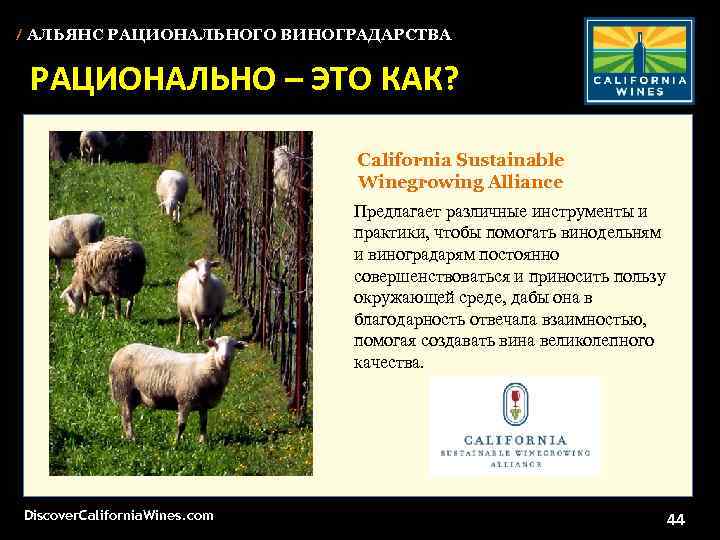 / АЛЬЯНС РАЦИОНАЛЬНОГО ВИНОГРАДАРСТВА РАЦИОНАЛЬНО – ЭТО КАК? California Sustainable Winegrowing Alliance Предлагает различные