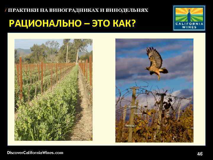 / ПРАКТИКИ НА ВИНОГРАДНИКАХ И ВИНОДЕЛЬНЯХ РАЦИОНАЛЬНО – ЭТО КАК? Discover. California. Wines. com