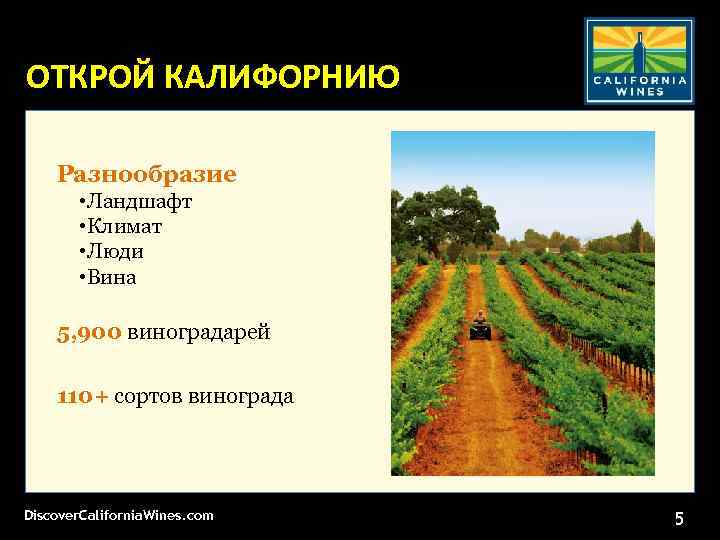 ОТКРОЙ КАЛИФОРНИЮ Разнообразие • Ландшафт • Климат • Люди • Вина 5, 900 виноградарей