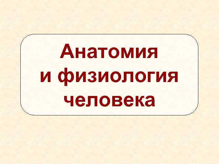 Основы анатомии и физиологии человека презентация