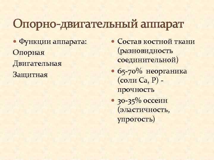 Опорно-двигательный аппарат Функции аппарата: Опорная Двигательная Защитная Состав костной ткани (разновидность соединительной) 65 -70%