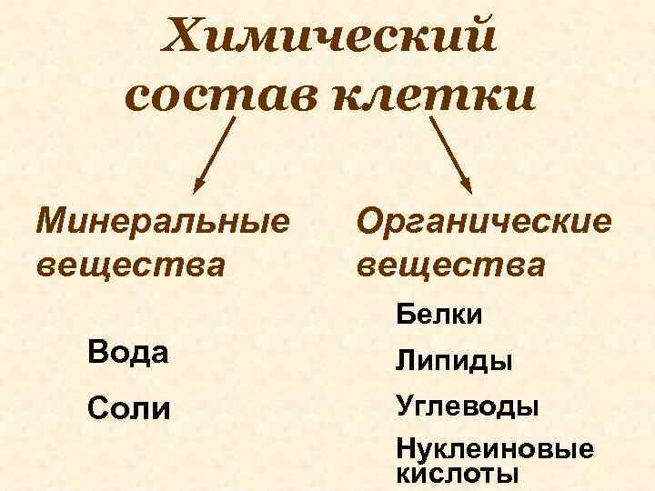 Химический состав клетки Минеральные вещества Органические вещества Белки Вода Липиды Соли Углеводы Нуклеиновые кислоты