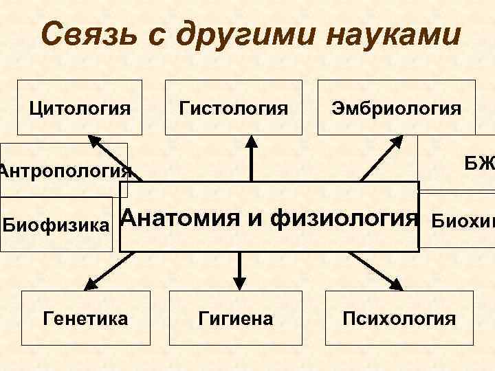 Восполните в схеме недостающее звено