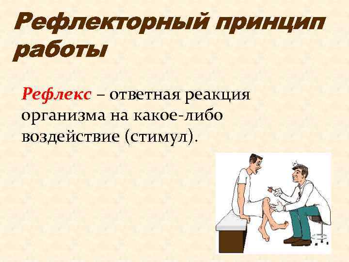 Рефлекторный принцип работы Рефлекс – ответная реакция организма на какое-либо воздействие (стимул). 