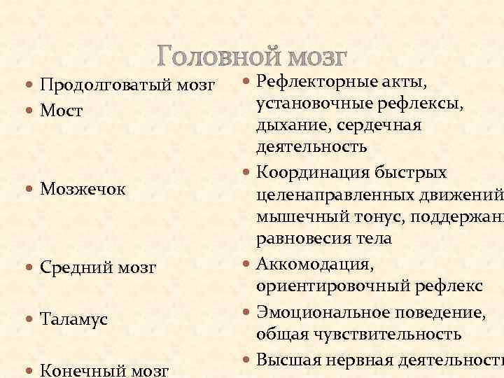 Головной мозг Продолговатый мозг Рефлекторные акты, Мост Мозжечок Средний мозг Таламус Конечный мозг установочные