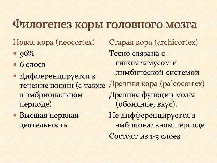 Филогенез коры головного мозга Новая кора (neocortex) Старая кора (archicortex) 96% Тесно связана с