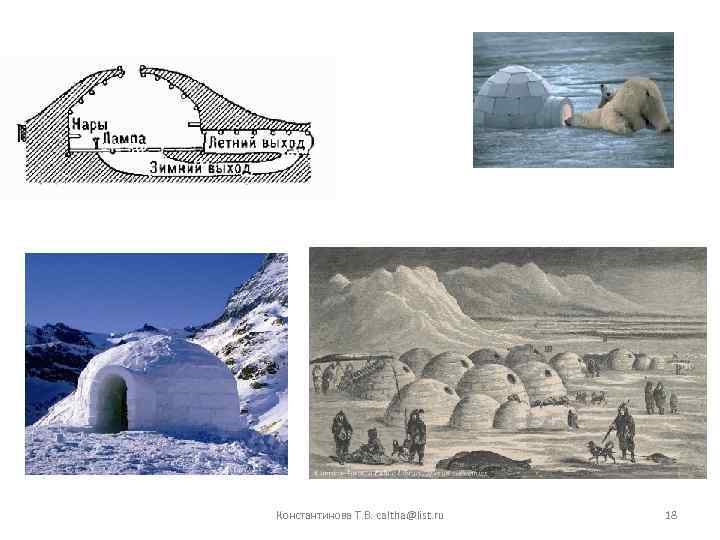 Константинова Т. В. caltha@list. ru 18 