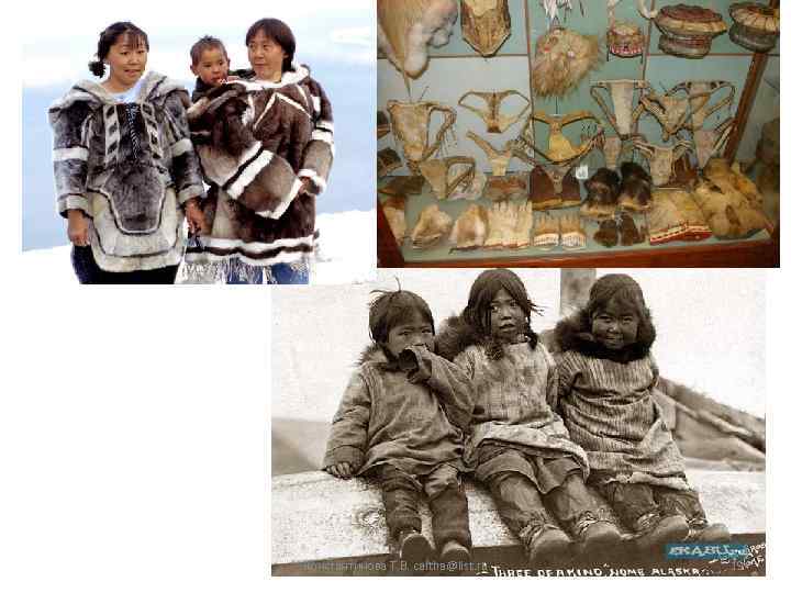 Константинова Т. В. caltha@list. ru 19 