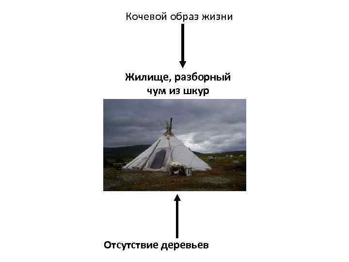 Кочевой образ жизни Жилище, разборный чум из шкур Отсутствие деревьев 