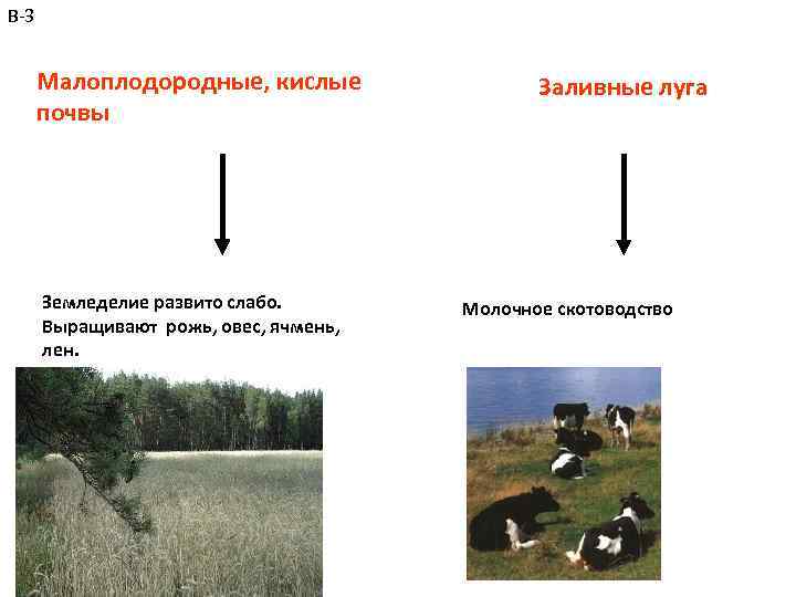 В-3 Малоплодородные, кислые почвы Земледелие развито слабо. Выращивают рожь, овес, ячмень, лен. Заливные луга