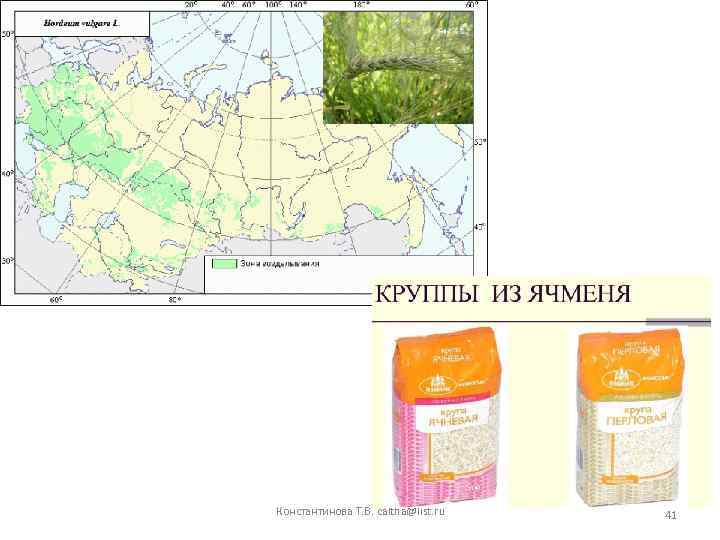 Константинова Т. В. caltha@list. ru 41 