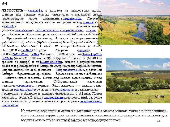 В-4 ЛЕСОСТЕПЬ — ландшафт, в котором на междуречьях луговостепные или степные участки чередуются с