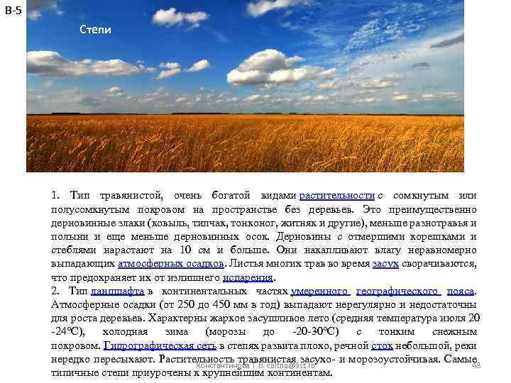 В-5 Степи 1. Тип травянистой, очень богатой видами растительности с сомкнутым или полусомкнутым покровом