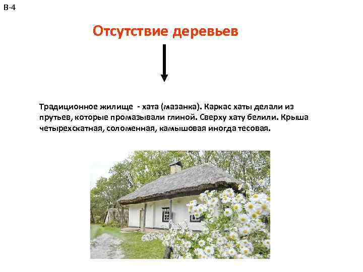 В-4 Отсутствие деревьев Традиционное жилище - хата (мазанка). Каркас хаты делали из прутьев, которые