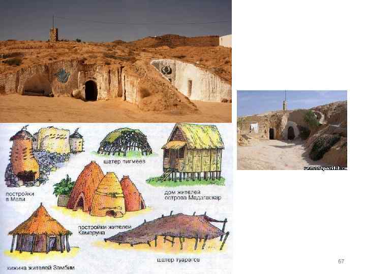 Константинова Т. В. caltha@list. ru 67 