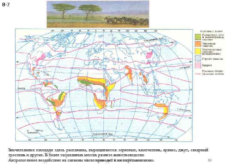 В-7 Значительные площади здесь распаханы, выращиваются зерновые, хлопчатник, арахис, джут, сахарный тростник и другие.