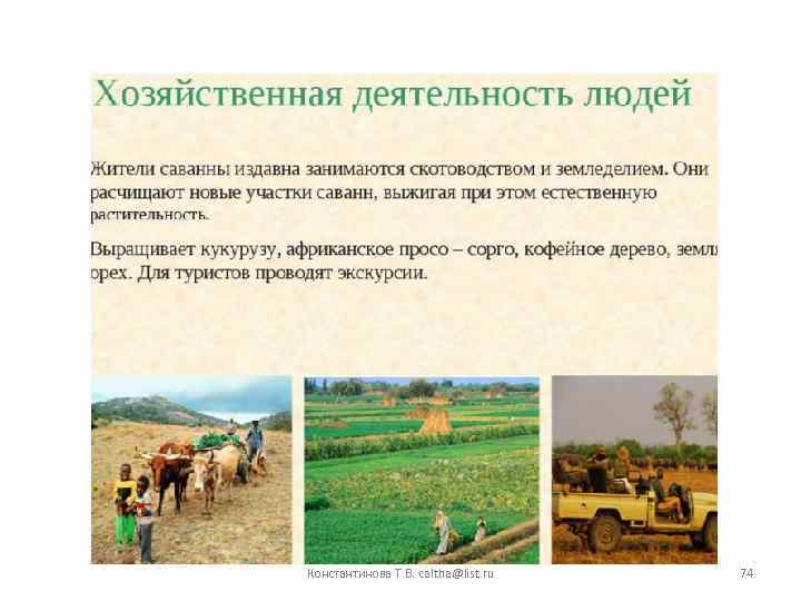 Константинова Т. В. caltha@list. ru 74 