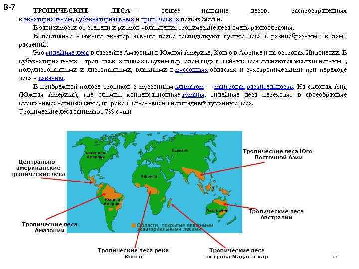 Тропические леса карта