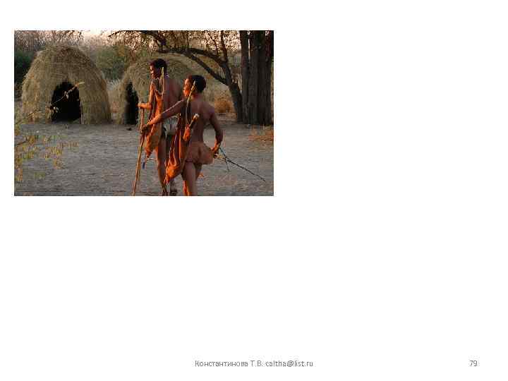 Константинова Т. В. caltha@list. ru 79 