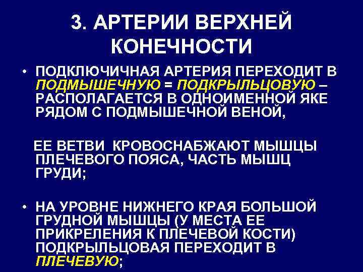 3. АРТЕРИИ ВЕРХНЕЙ КОНЕЧНОСТИ • ПОДКЛЮЧИЧНАЯ АРТЕРИЯ ПЕРЕХОДИТ В ПОДМЫШЕЧНУЮ = ПОДКРЫЛЬЦОВУЮ – РАСПОЛАГАЕТСЯ