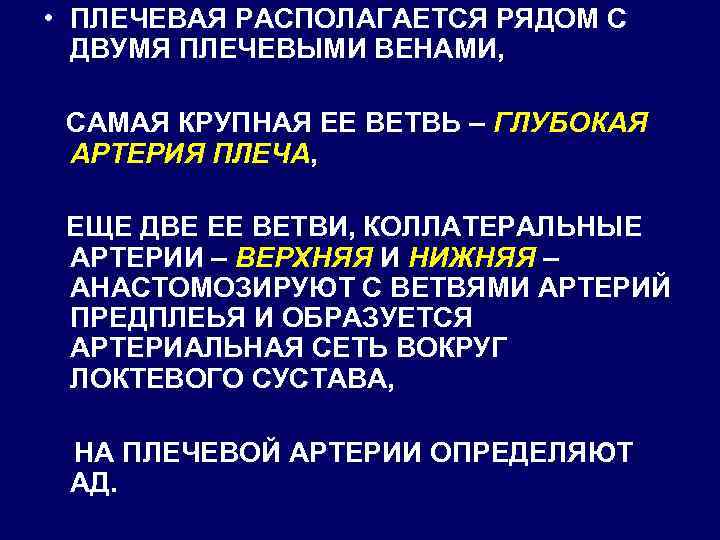  • ПЛЕЧЕВАЯ РАСПОЛАГАЕТСЯ РЯДОМ С ДВУМЯ ПЛЕЧЕВЫМИ ВЕНАМИ, САМАЯ КРУПНАЯ ЕЕ ВЕТВЬ –