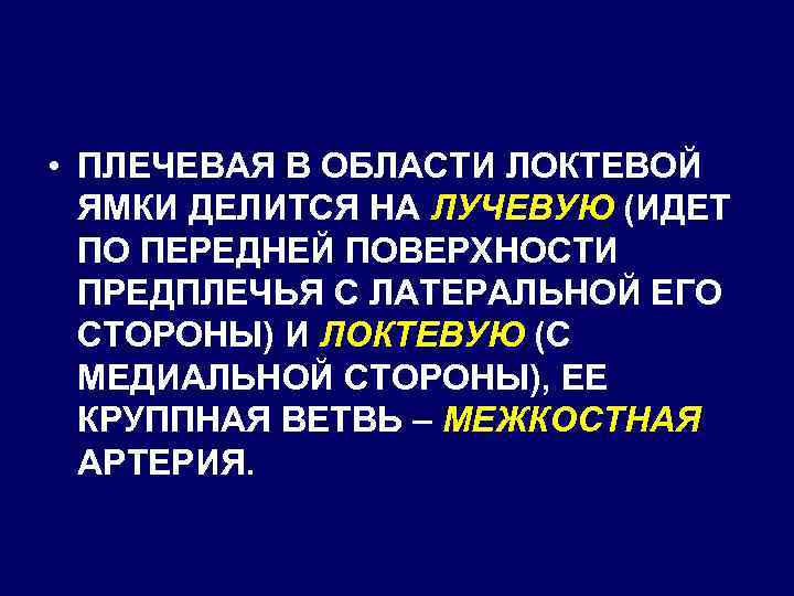  • ПЛЕЧЕВАЯ В ОБЛАСТИ ЛОКТЕВОЙ ЯМКИ ДЕЛИТСЯ НА ЛУЧЕВУЮ (ИДЕТ ПО ПЕРЕДНЕЙ ПОВЕРХНОСТИ