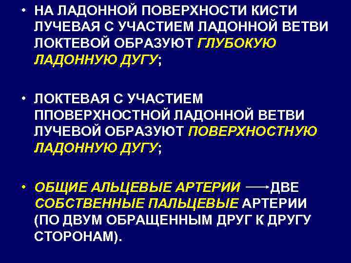  • НА ЛАДОННОЙ ПОВЕРХНОСТИ КИСТИ ЛУЧЕВАЯ С УЧАСТИЕМ ЛАДОННОЙ ВЕТВИ ЛОКТЕВОЙ ОБРАЗУЮТ ГЛУБОКУЮ