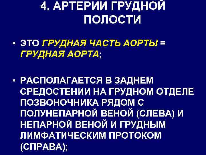 4. АРТЕРИИ ГРУДНОЙ ПОЛОСТИ • ЭТО ГРУДНАЯ ЧАСТЬ АОРТЫ = ГРУДНАЯ АОРТА; • РАСПОЛАГАЕТСЯ