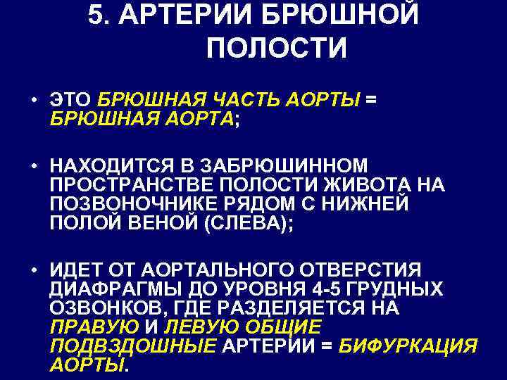 5. АРТЕРИИ БРЮШНОЙ ПОЛОСТИ • ЭТО БРЮШНАЯ ЧАСТЬ АОРТЫ = БРЮШНАЯ АОРТА; • НАХОДИТСЯ