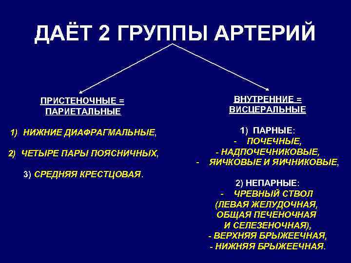 ДАЁТ 2 ГРУППЫ АРТЕРИЙ ВНУТРЕННИЕ = ВИСЦЕРАЛЬНЫЕ ПРИСТЕНОЧНЫЕ = ПАРИЕТАЛЬНЫЕ 1) НИЖНИЕ ДИАФРАГМАЛЬНЫЕ, 2)