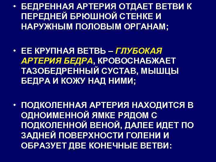  • БЕДРЕННАЯ АРТЕРИЯ ОТДАЕТ ВЕТВИ К ПЕРЕДНЕЙ БРЮШНОЙ СТЕНКЕ И НАРУЖНЫМ ПОЛОВЫМ ОРГАНАМ;