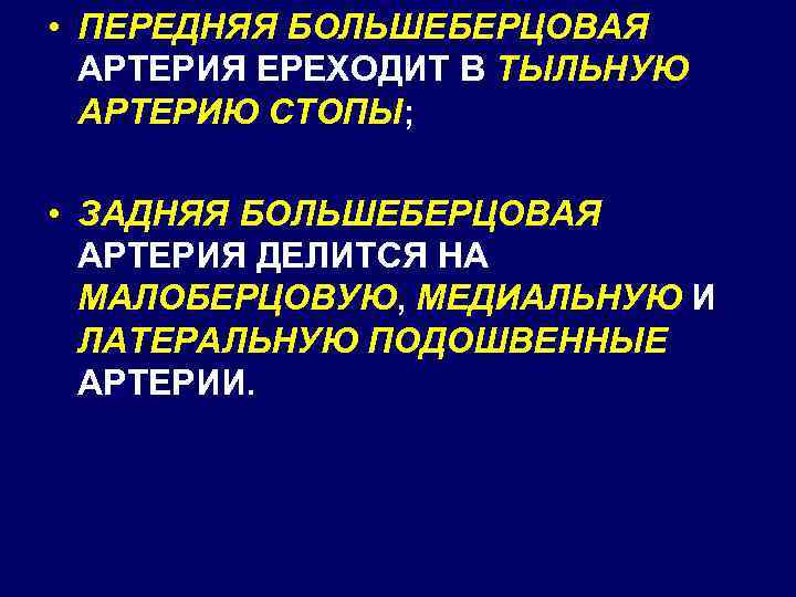  • ПЕРЕДНЯЯ БОЛЬШЕБЕРЦОВАЯ АРТЕРИЯ ЕРЕХОДИТ В ТЫЛЬНУЮ АРТЕРИЮ СТОПЫ; • ЗАДНЯЯ БОЛЬШЕБЕРЦОВАЯ АРТЕРИЯ