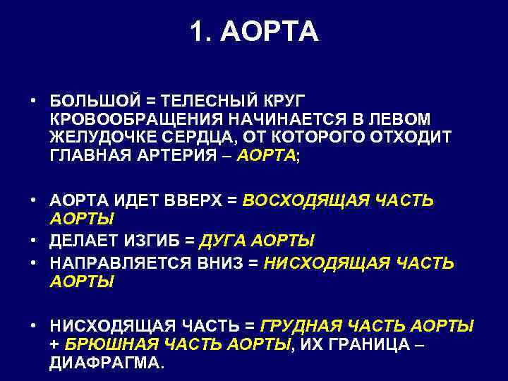 1. АОРТА • БОЛЬШОЙ = ТЕЛЕСНЫЙ КРУГ КРОВООБРАЩЕНИЯ НАЧИНАЕТСЯ В ЛЕВОМ ЖЕЛУДОЧКЕ СЕРДЦА, ОТ